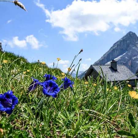 Haus Berggesundzeit Doppelzimmer Kaerlingerhaus Schoenau am Koenigsee